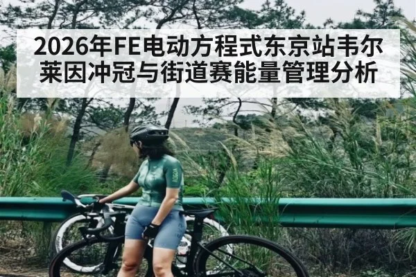 2026年FE电动方程式东京站韦尔莱因冲冠与街道赛能量管理分析